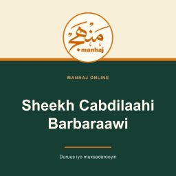 Artwork for Sheekh Cabdilaahi Barbaraawi