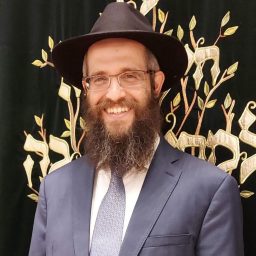 Artwork for Rabino Eliahu Stiefelmann
