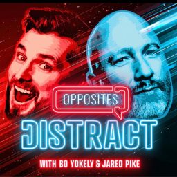 Artwork for Opposites Distract