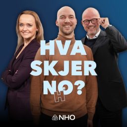Artwork for Hva skjer no?