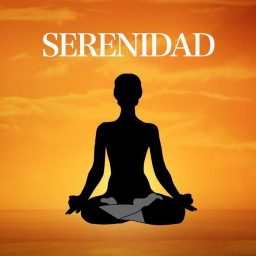 Artwork for Meditación Guiada