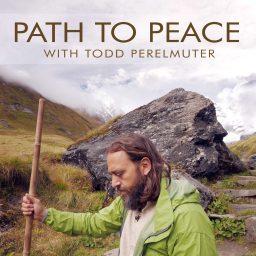 Artwork for Path to Peace with Todd Perelmuter