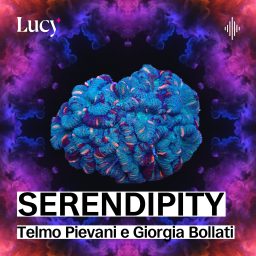 Artwork for Serendipity