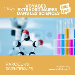Artwork for Voyages extraordinaires dans les sciences