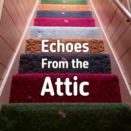 Artwork for Echoes From the Attic
