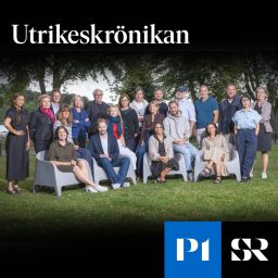 Artwork for Utrikeskrönikan