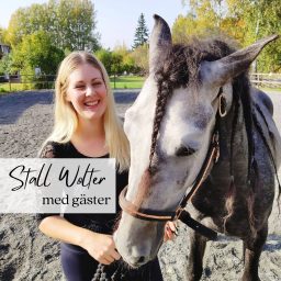 Artwork for Stall Wolter med gäster
