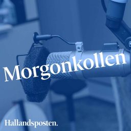 Artwork for Morgonkollen