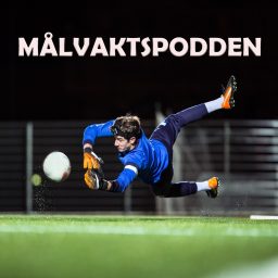 Artwork for Målvaktspodden