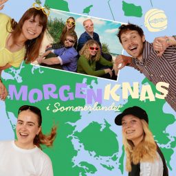 Artwork for Morgenknas