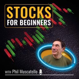 Artwork for Stocks for Beginners