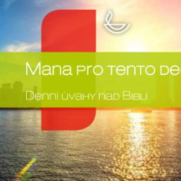 Artwork for Mana pro tento den