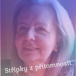 Artwork for Střípky z přítomnosti