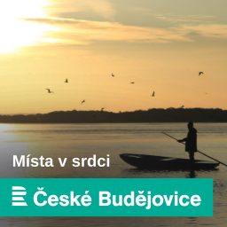 Artwork for Místa v srdci