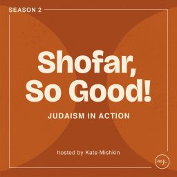 Artwork for Shofar, So Good!