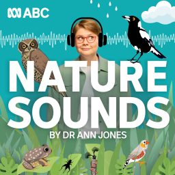 Artwork for Nature Sounds