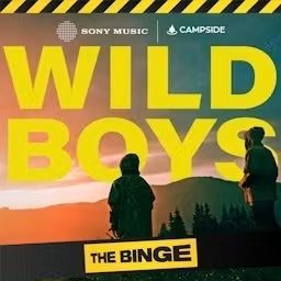 Artwork for Wild Boys