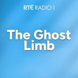 Artwork for The Ghost Limb
