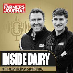 Artwork for Inside Dairy Teasers