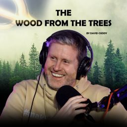 Artwork for The Wood From The Trees