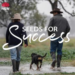 Artwork for Seeds for Success