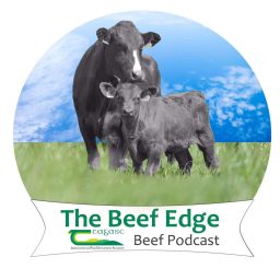 Artwork for The Beef Edge