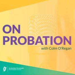 Artwork for On Probation