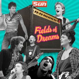 Artwork for Fields of Dreams