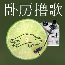 Artwork for 卧房撸歌