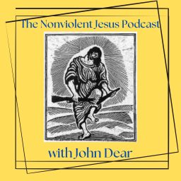 Artwork for The Nonviolent Jesus