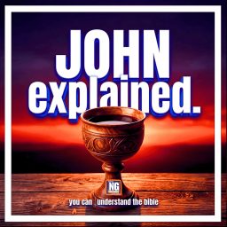 Artwork for John Explained: A Bible Study