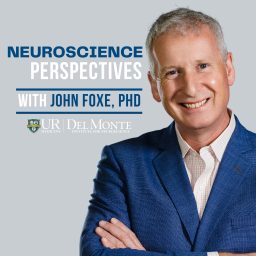 Artwork for Neuroscience Perspectives