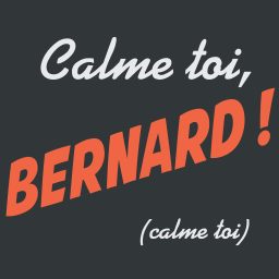 Artwork for Calme toi, Bernard !