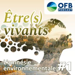 Artwork for Être(s) vivants