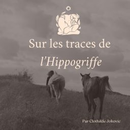 Artwork for Sur les traces de l'Hippogriffe