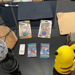 Artwork for L’Univers Pokemon