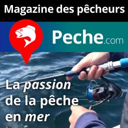 Artwork for Pêche en mer