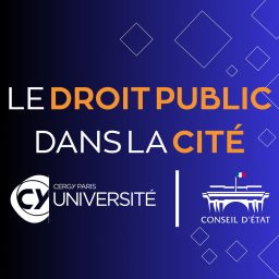 Artwork for Le droit public dans la cité