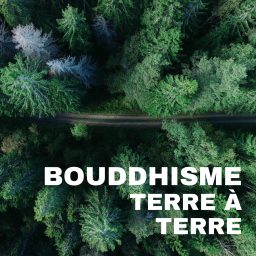 Artwork for Bouddhisme terre à terre