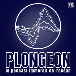 Artwork for Plongeon