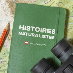 Artwork for HISTOIRES NATURALISTES