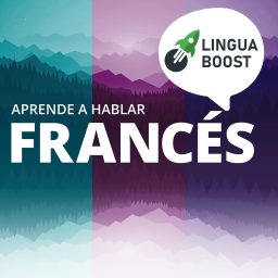 Artwork for Aprende francés con LinguaBoost