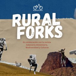 Artwork for Rural Forks