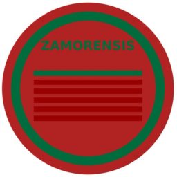 Artwork for Zamora a traves de su historia.