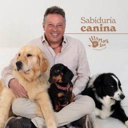 Artwork for Sabiduría Canina