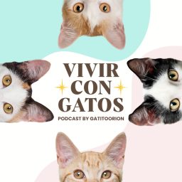 Artwork for Vivir con Gatos