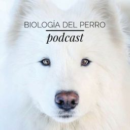 Artwork for Biología del Perro
