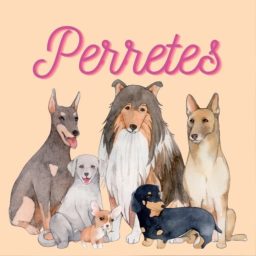 Artwork for Perretes | Las razas de perros