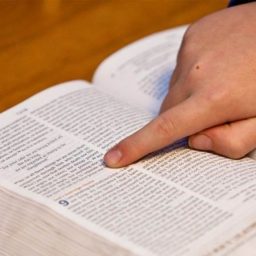 Artwork for Curso de Biblia