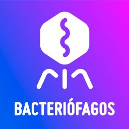Artwork for Bacteriófagos